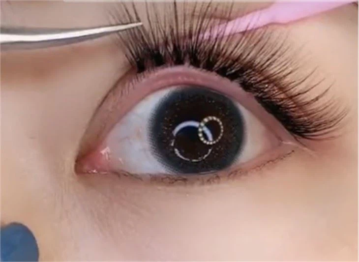 20D Cluster Lash