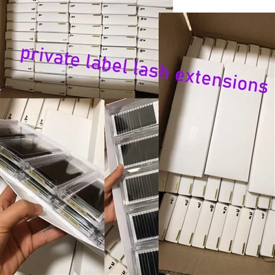 اکستنشن مژه کلاسیک لیبل خصوصی